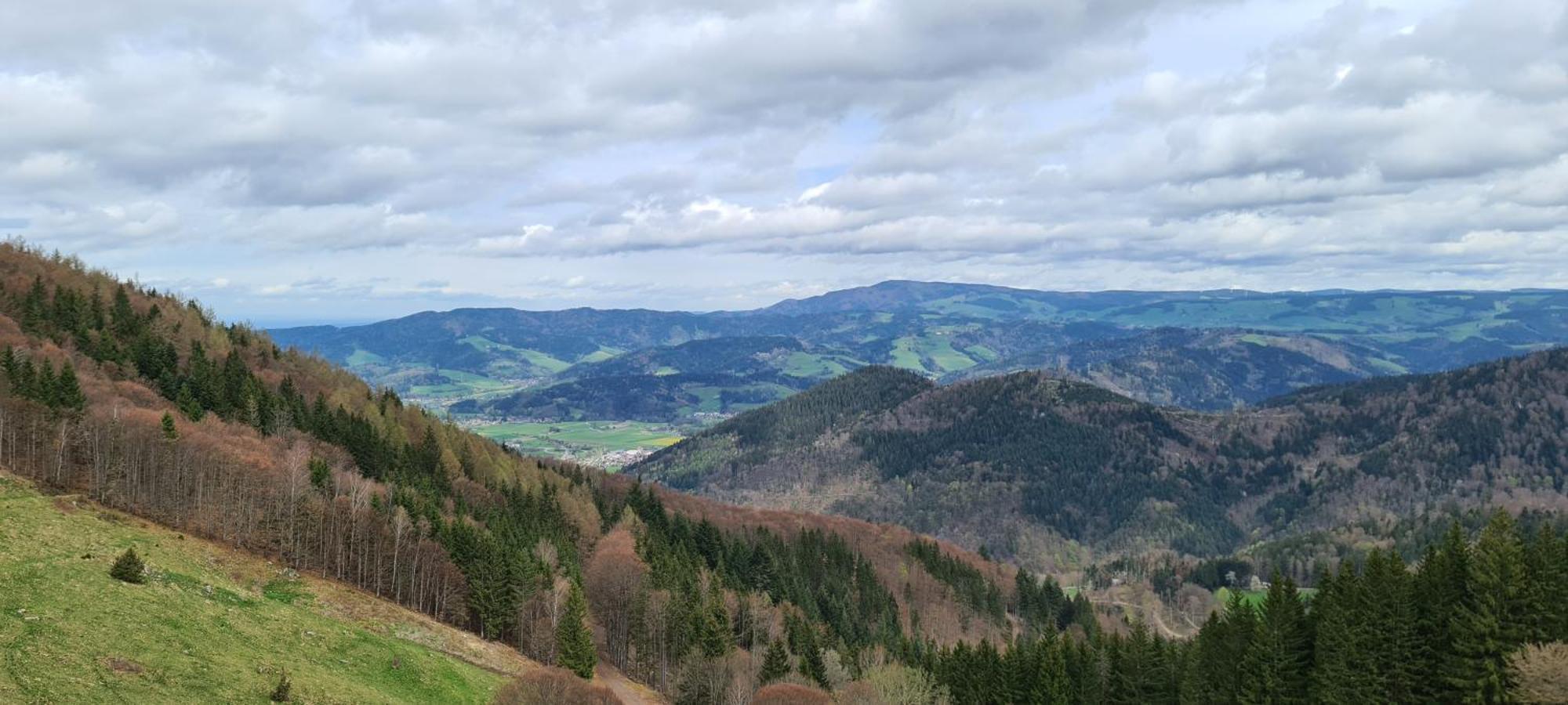 Haus Anna-Marie Διαμέρισμα Feldberg  Εξωτερικό φωτογραφία