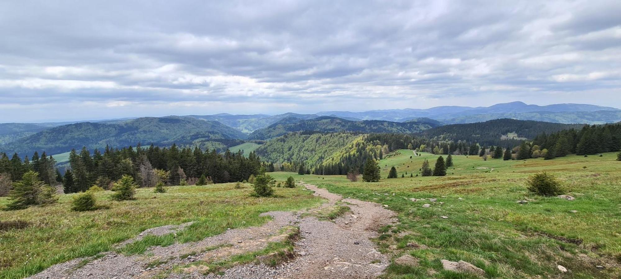 Haus Anna-Marie Διαμέρισμα Feldberg  Εξωτερικό φωτογραφία