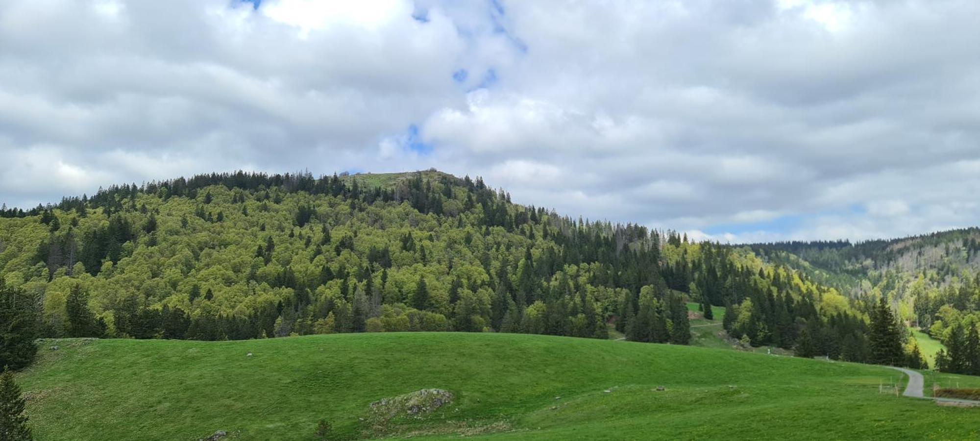 Haus Anna-Marie Διαμέρισμα Feldberg  Εξωτερικό φωτογραφία